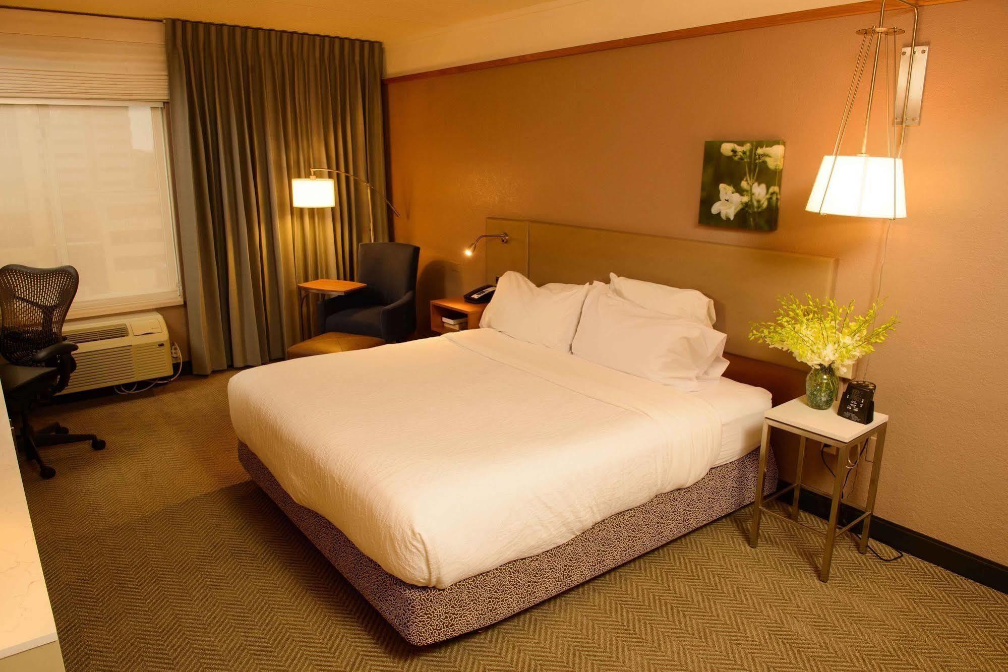 Hilton Garden Inn Rochester Downtown Exterior foto